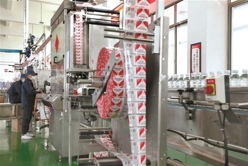 拉薩文明網(wǎng)技術(shù)咨詢服務(wù)指南 技術(shù)支持、常見問題與優(yōu)化建議